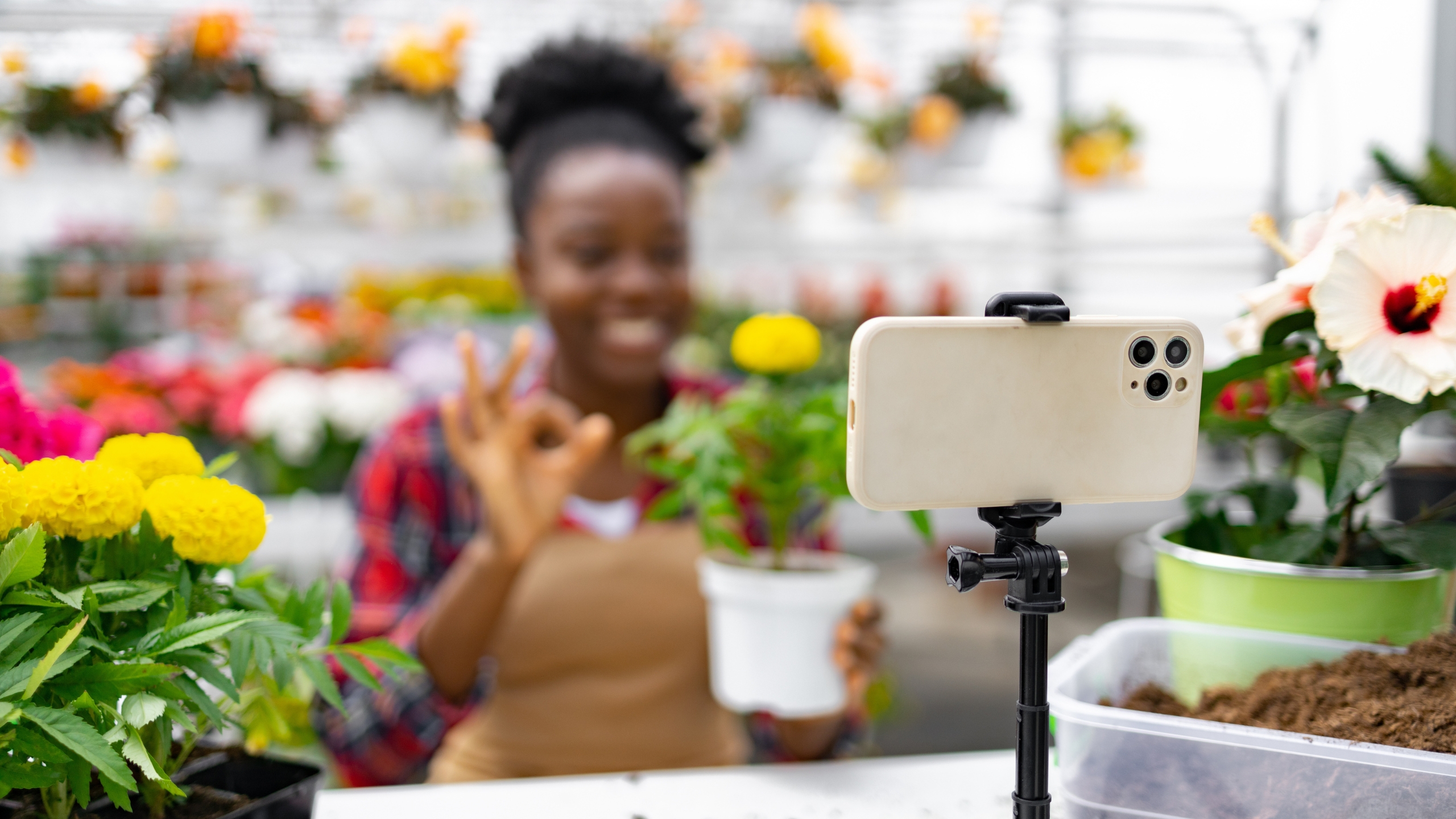 A woman in an apron holds a potted plant and gestures an OK sign while filming herself with a smartphone on a tripod in her bright, flower-filled room, sharing tips on how to make $100K from her gardening passion.